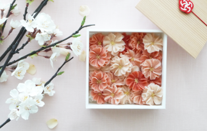 フォローアップ画像