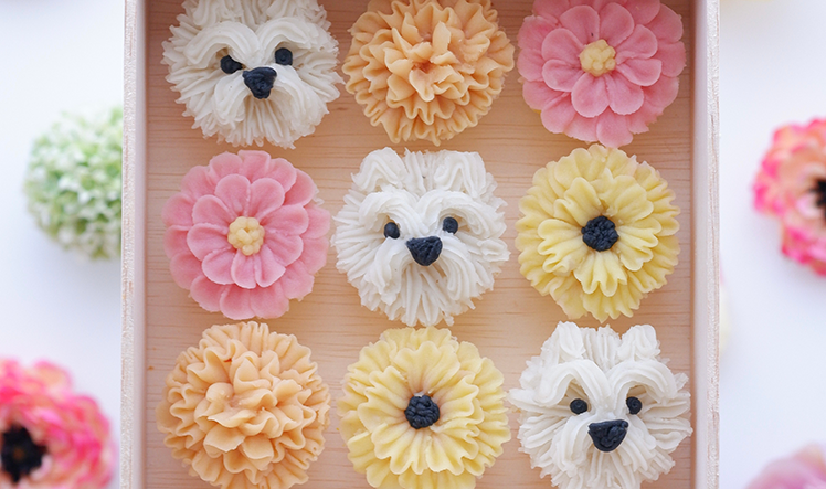 体験レッスンB画像