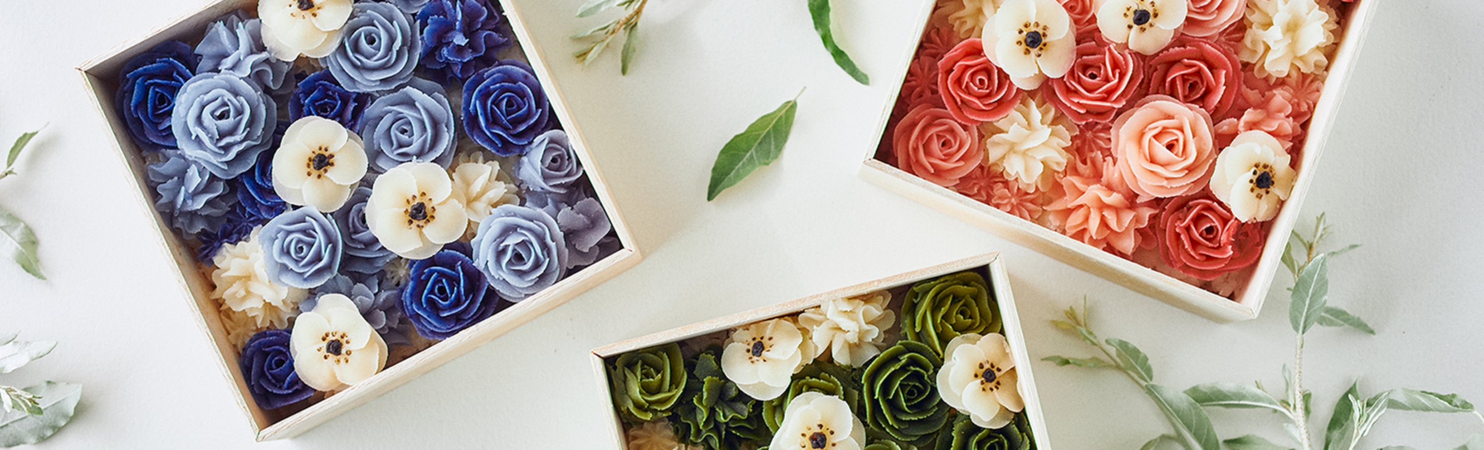 単発レッスンのご案内