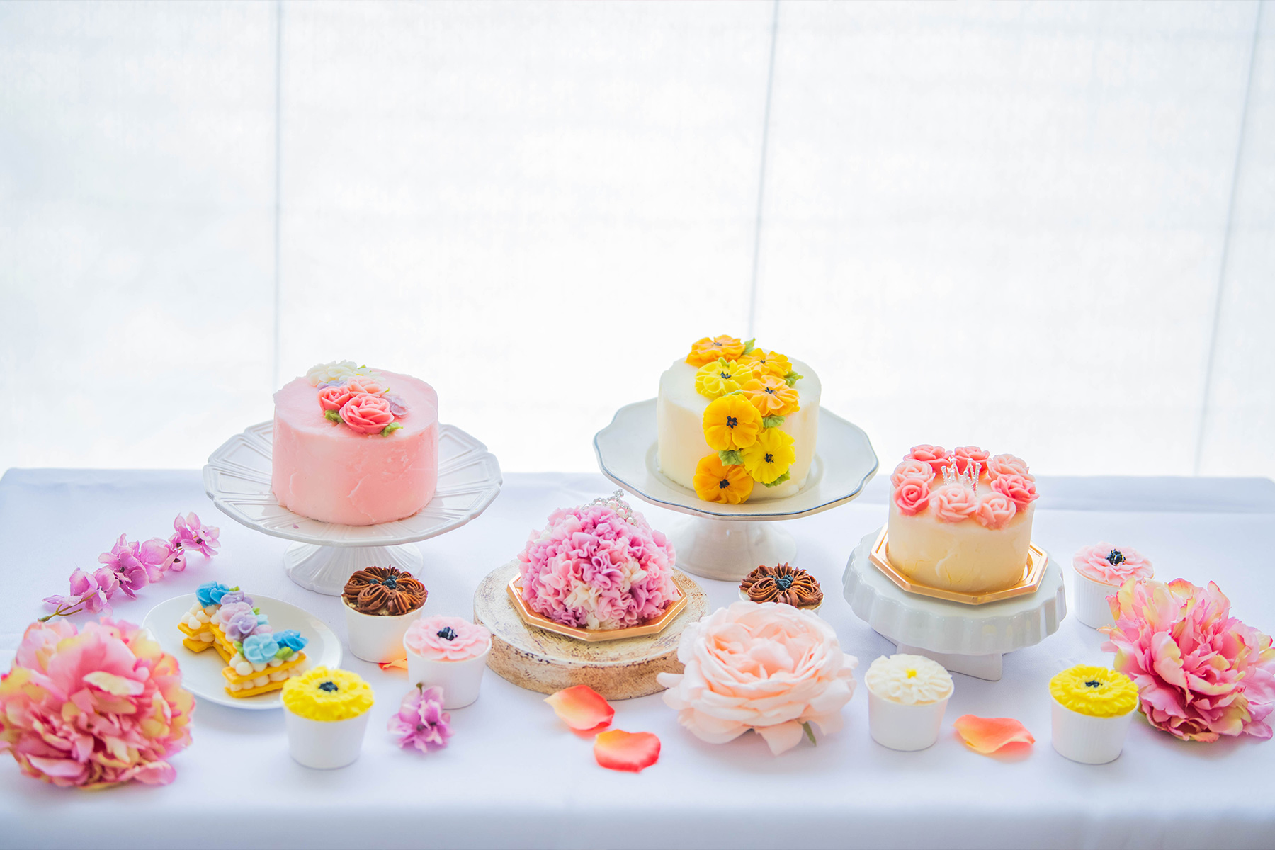 ペット専用スイーツを学びたい方へ