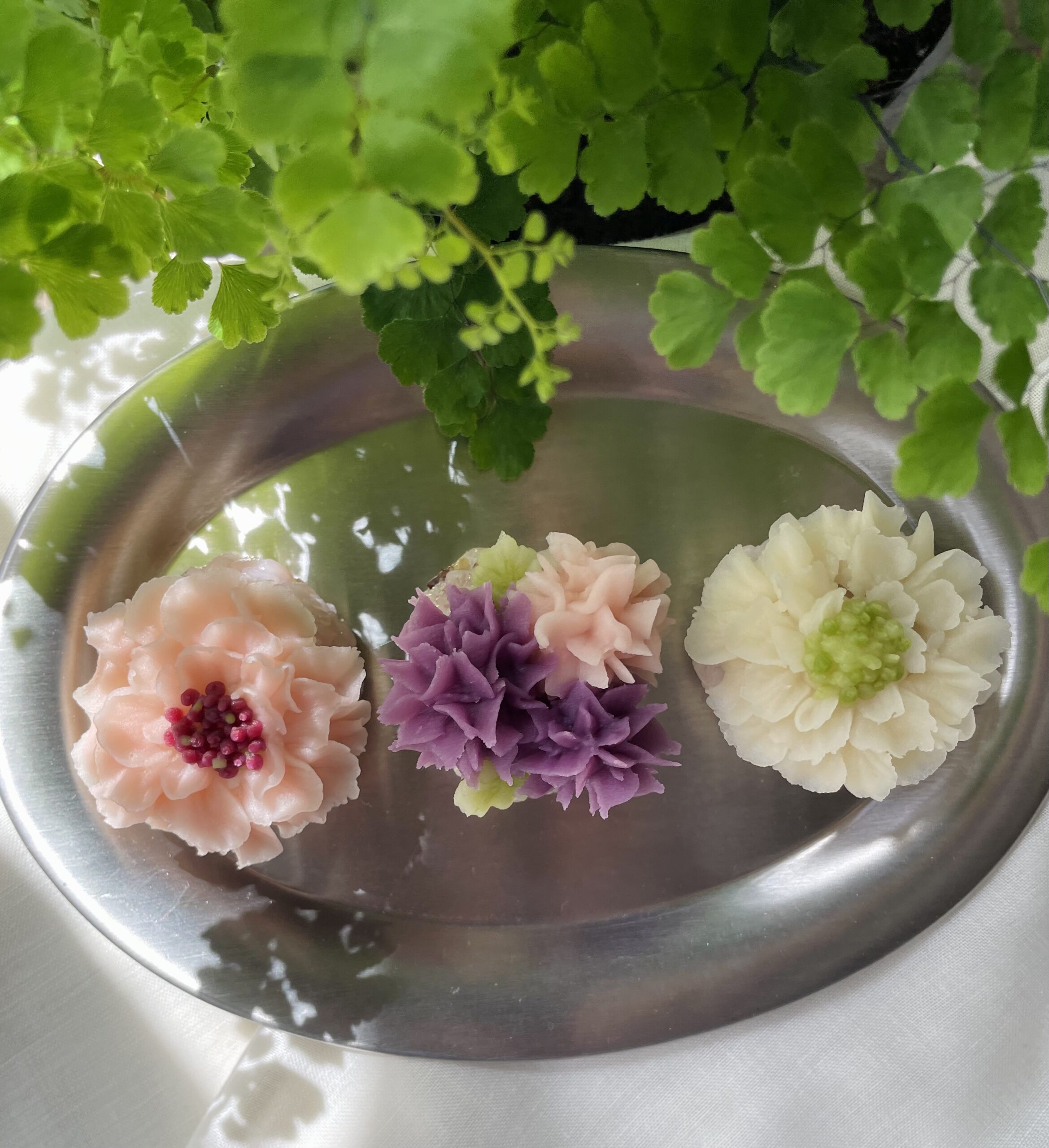 北海道　xin (シン)