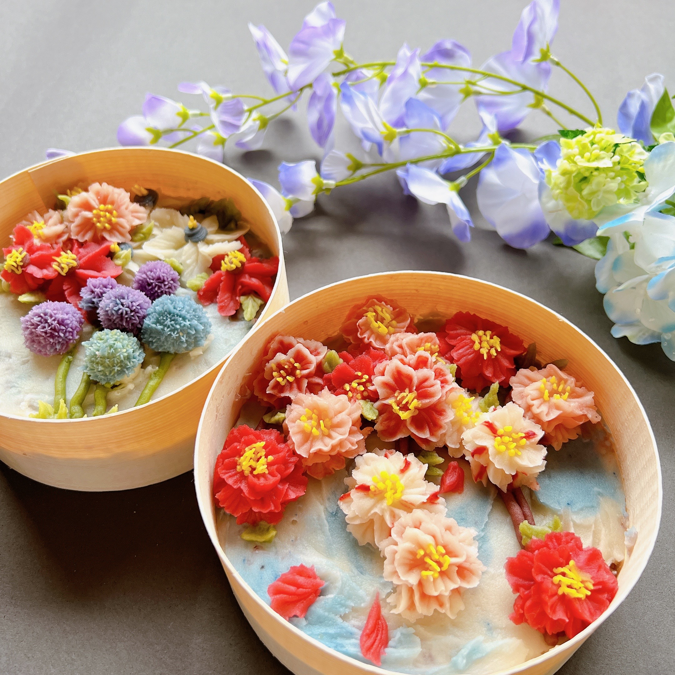 長野県    hallu_晴【ハル】