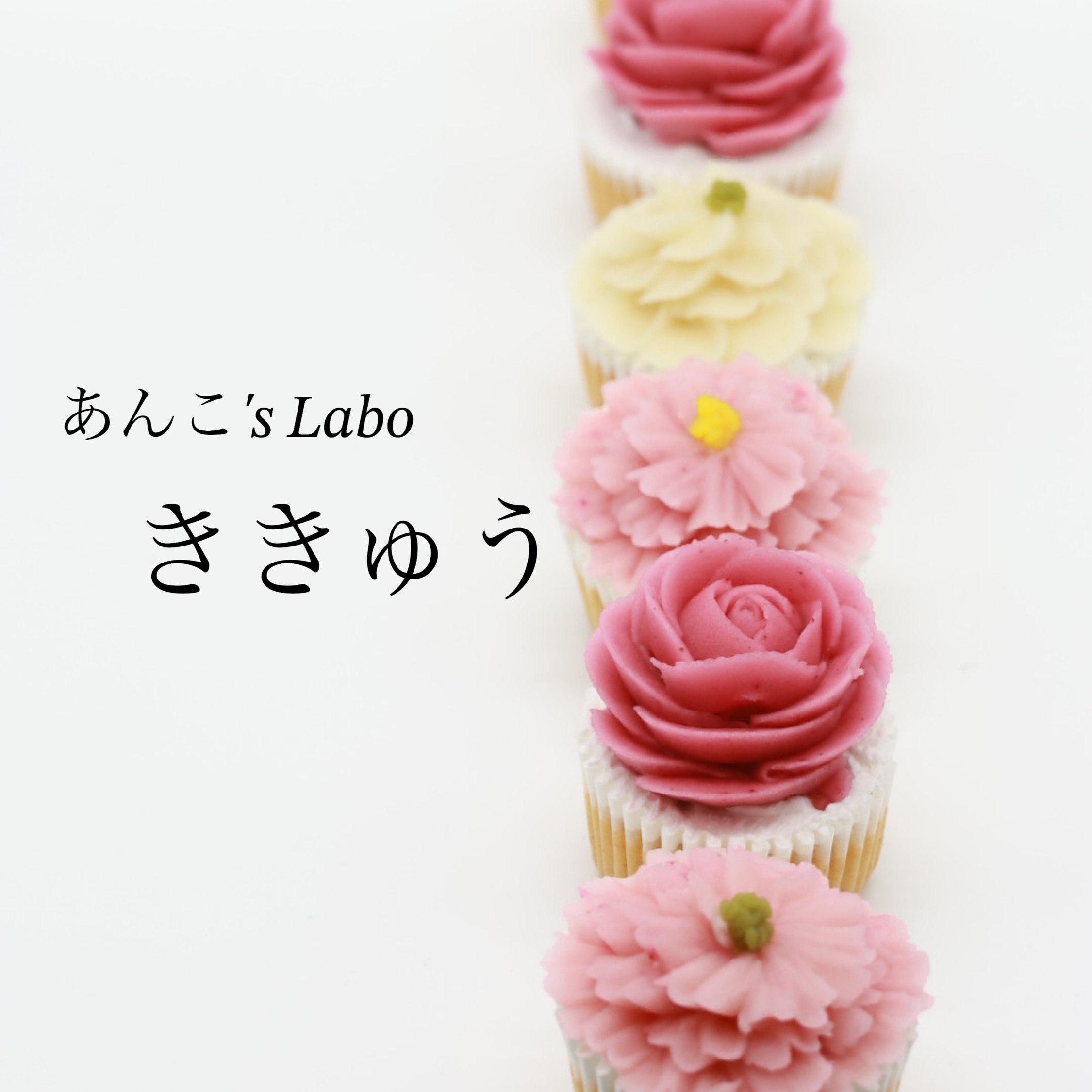 長崎県　あんこ’s Labo ききゅう （上級認定校）