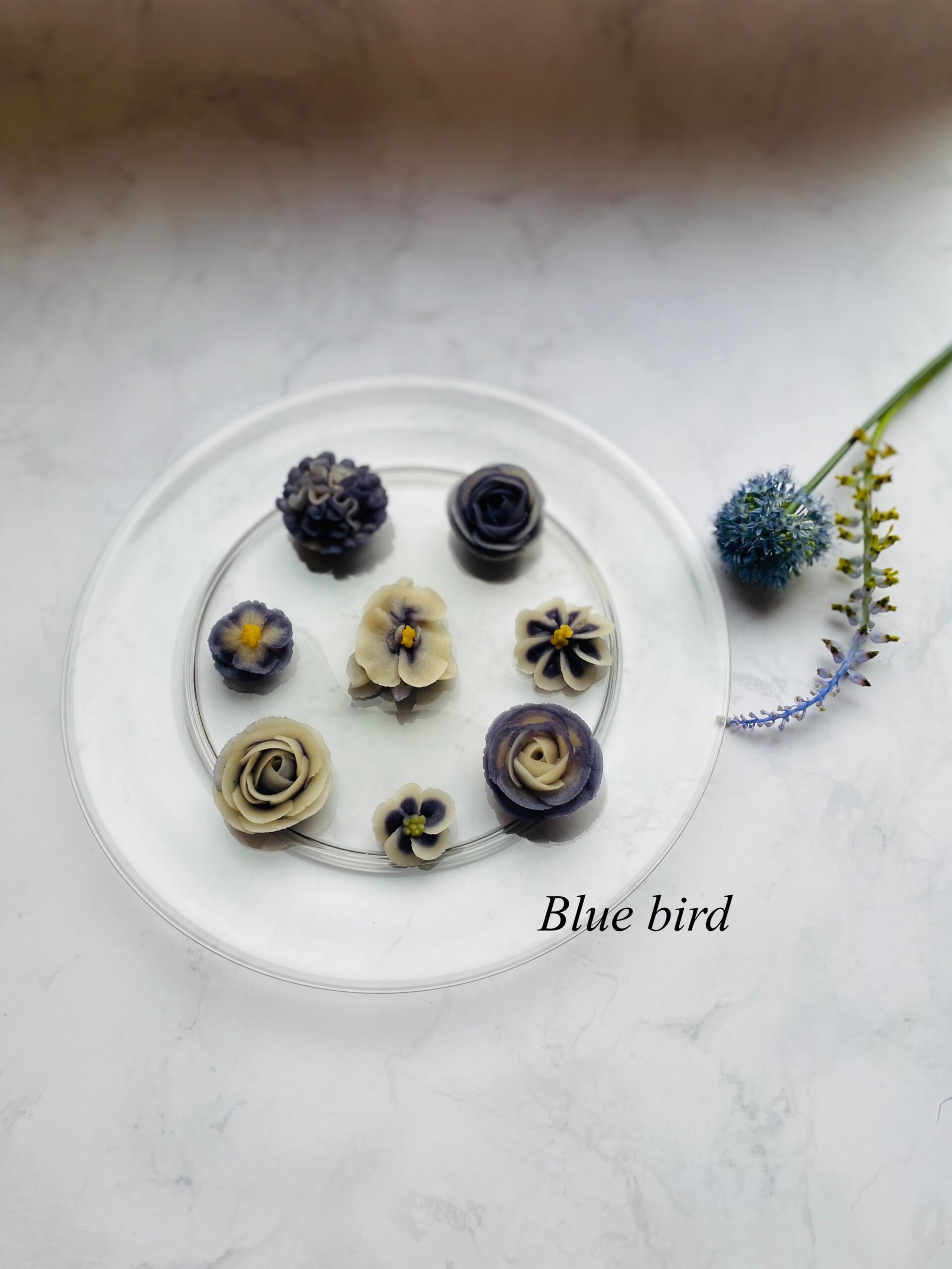 富山県　Blue bird  上級認定校