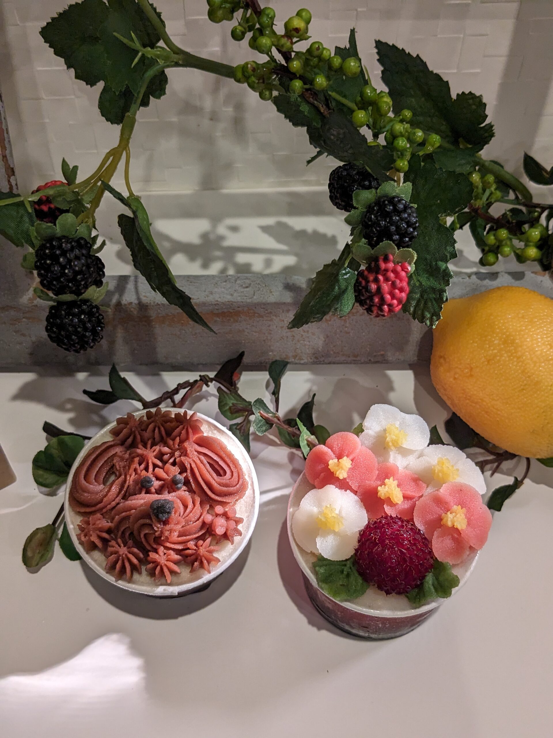 千葉県　TEMAHIMA×W.an