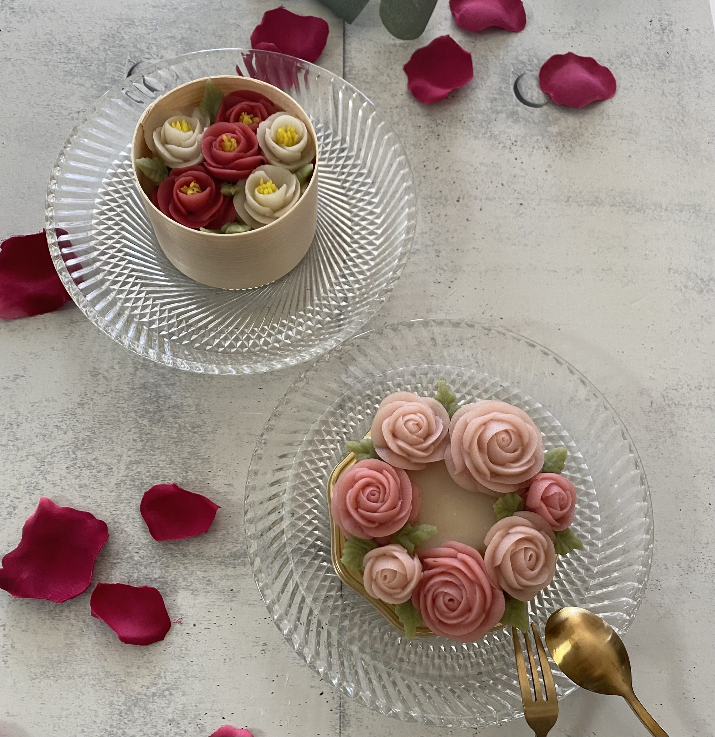 神奈川県・兵庫県　HOA ANKO