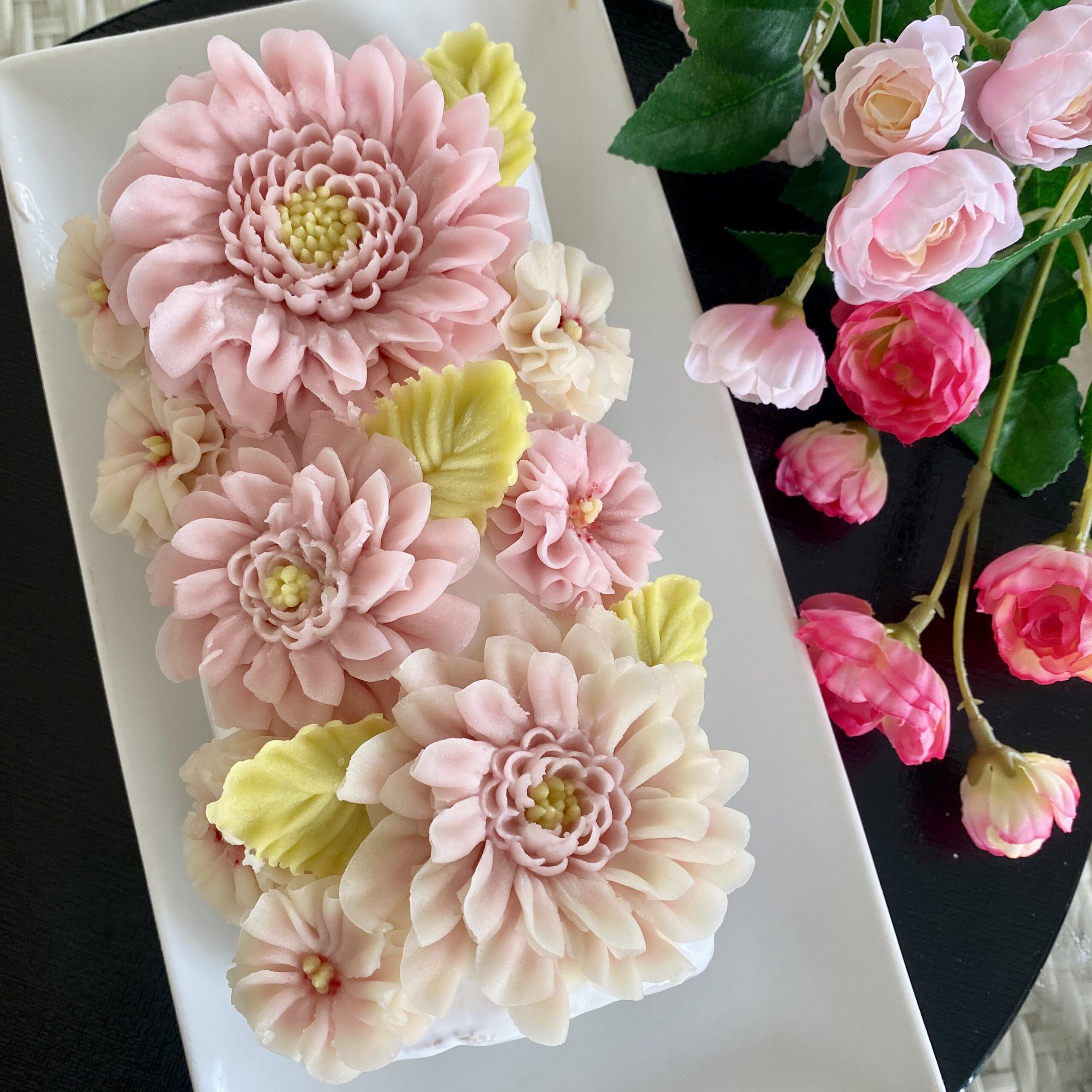 大阪府　Camellia(カメリア)